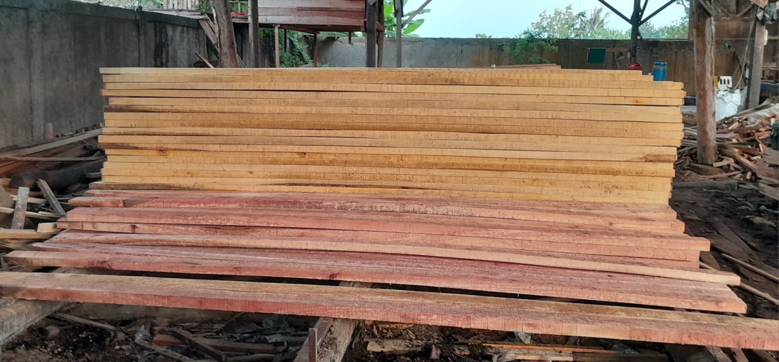 Kayu Kaso 5/7 Panjang 4 Meter / Merah Cream