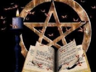 5503230_1624910785_0bg_2