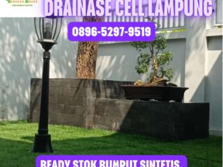 JUAL-RUMPUT-SINTETIS-LAMPUNG-1