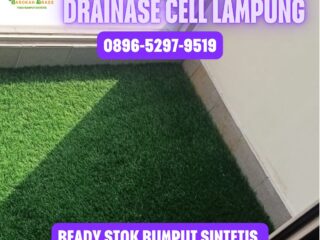 JUAL-RUMPUT-SINTETIS-LAMPUNG-2