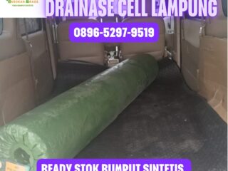 JUAL-RUMPUT-SINTETIS-LAMPUNG-3