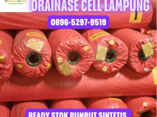 JUAL-RUMPUT-SINTETIS-LAMPUNG-4