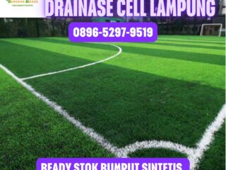 JUAL-RUMPUT-SINTETIS-LAMPUNG-5