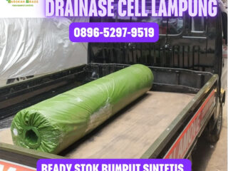 JUAL-RUMPUT-SINTETIS-LAMPUNG-107