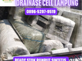 JUAL-RUMPUT-SINTETIS-LAMPUNG-108