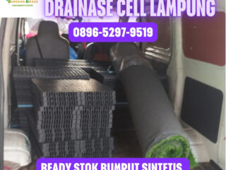 JUAL-RUMPUT-SINTETIS-LAMPUNG-114