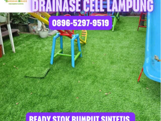 JUAL-RUMPUT-SINTETIS-LAMPUNG-115