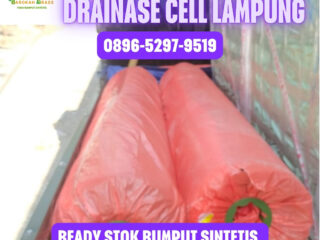 JUAL-RUMPUT-SINTETIS-LAMPUNG-158