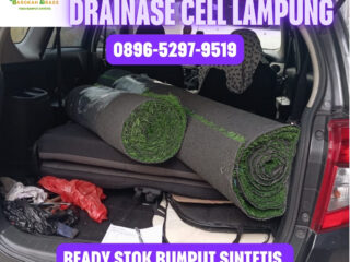 JUAL-RUMPUT-SINTETIS-LAMPUNG-163
