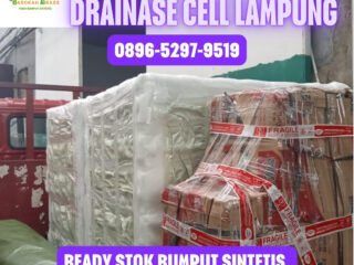 JUAL-RUMPUT-SINTETIS-LAMPUNG-164