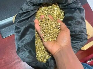 gold-7