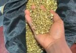 DO U WANT GOLD ]]]»»»⌃⌃]]]+27647045841[[[[»»»⌃⌃[[ CALL GOLD DEALER AND SELLER IN INDIA/MALAYSIA/JAPAN/RUSSIA/NEPAL/PAKISTAN/AFGHANISTAN/KAZAKHSTAN