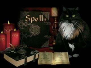 SPELLZ
