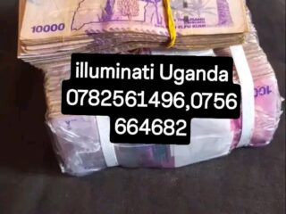 1773211691265