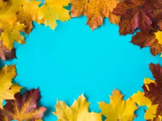 hero-image-autumn-leaves-on-flat-blue-background-2-free-image-11