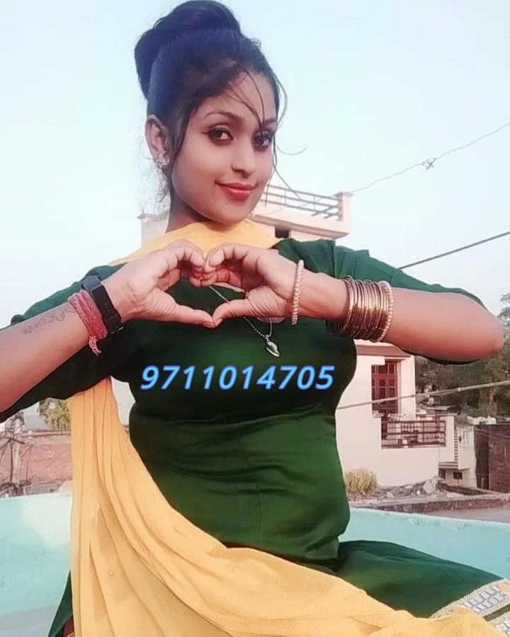 Call Girls In Karol Bagh ✦Delhi ♀️9711014705♀️ Escorts Service
